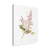 Védjegy képzőművészet 'Floursack Florals on White VI' vászon művészet Danhui Nai