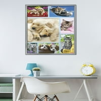 Keith Kimberlin-kiskutyák és cicák kollázs fali poszter, 22.375 34