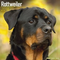 Rottweiler Naptár-Kutyafajta Naptár-Falinaptár 2017-
