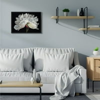 Stupell Industries minimális fehér virágszirom részlet virágos Design keretes fal Art Design Liz Jardine, 24 30