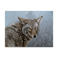 Védjegy Képzőművészet 'Coyote Portré' vászon művészete, Ron Parker