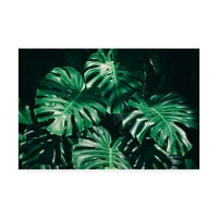 Védjegy Szépművészet 'Tropical Green Palm' vászon művészet: Photoinc Studio