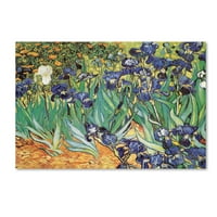 Vincent Van Gogh, az Iris Garden 'vászon művészete védjegye