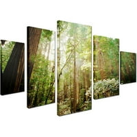 Védjegy Szépművészet Muir Woods vászon művészet Ariane Moshayedi 5-panel készlet