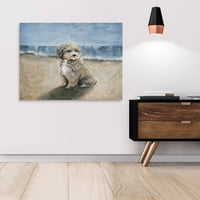 Parvez Taj kutya a tengerparton vászon fal művészet