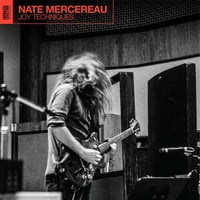 Nate Mercereau-Joy Technikák-Vinyl