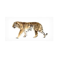 Victoria Borges 'akvarell tigris III' vászon művészet