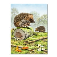 A MacNeil Studio által készített „Hedgehog Family 2” vászon művészet képzőművészete