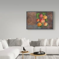 Védjegy Képzőművészet 'Alma Fruit Series' Cora Niele vászonművészete