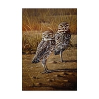 A Wilhelm Goebel „Burrowing Owls” vászon művészete