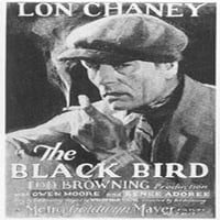 A Blackbird Film Poszter